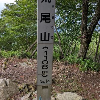 3座目の荒尾山