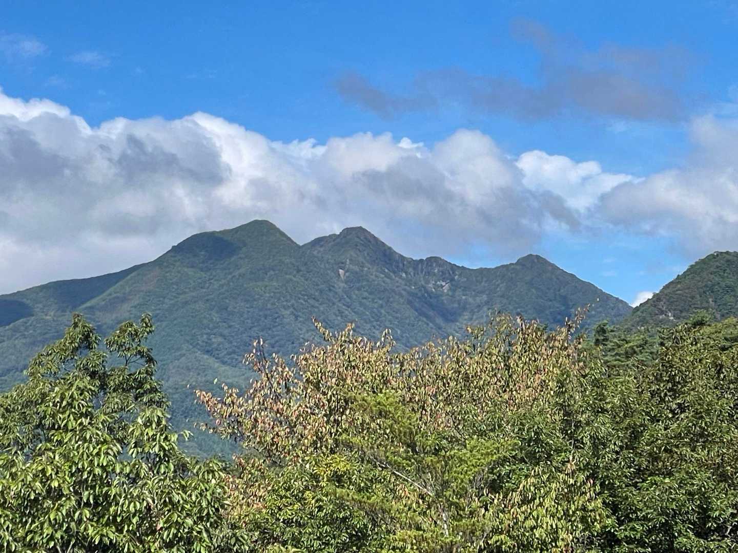 【偽ヤツ】の茅ヶ岳、金ヶ岳