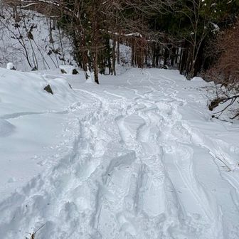 コレはさっきすれ違ったBCハイカー🏂の爪痕か
