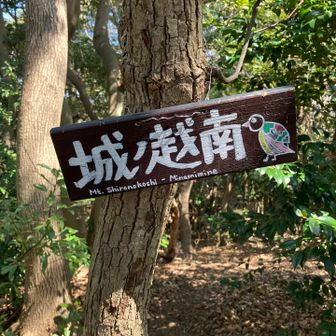 城ノ越山　南峰です。