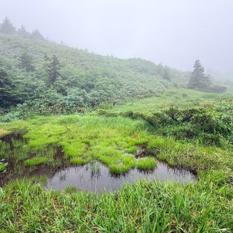 小さな池塘も