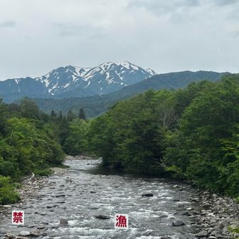 橋まで戻ってきました〜
集中しながら歩き滑ることなく無事に帰ってこれたよ〜