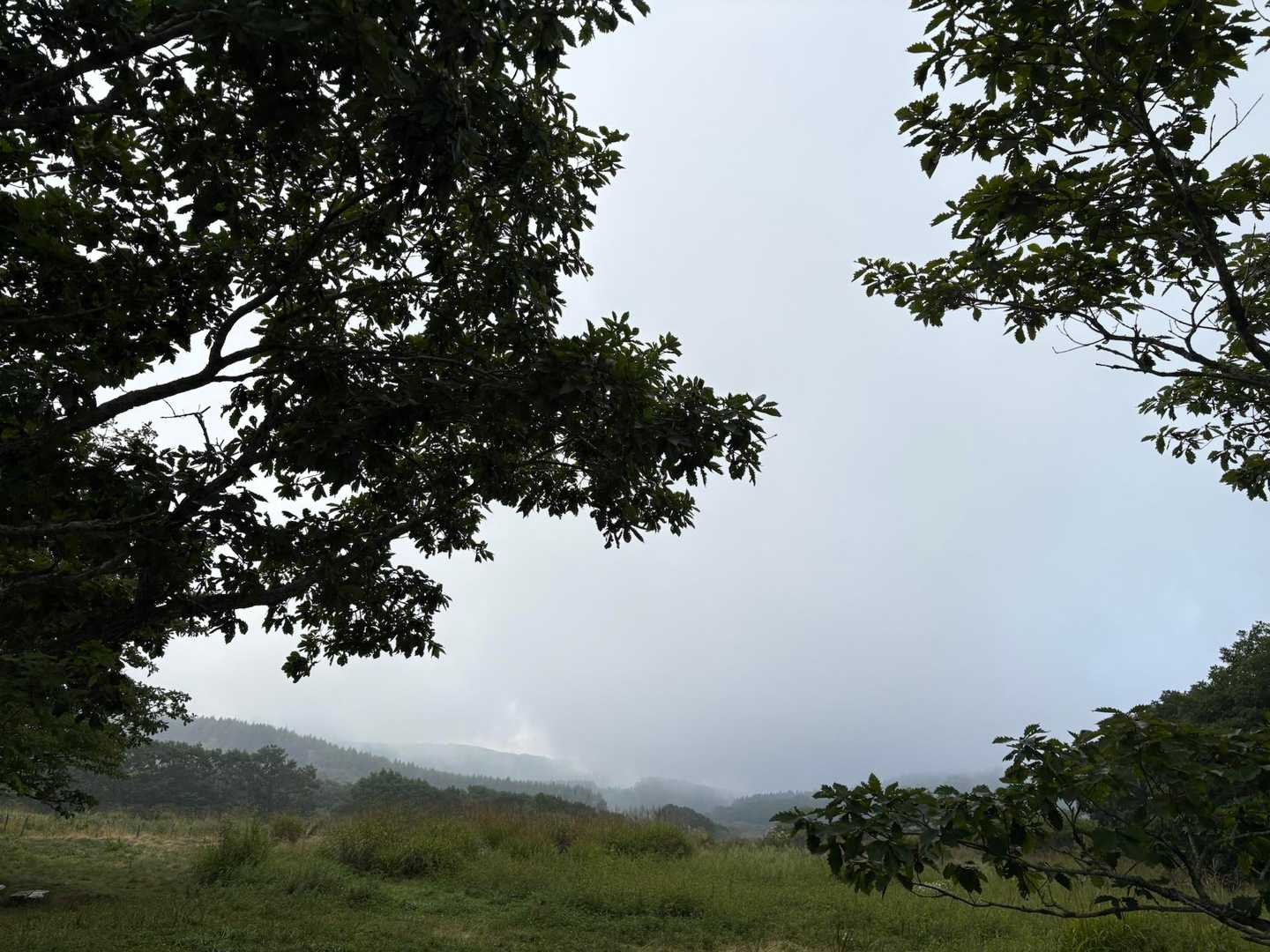 やっぱり、先程歩いて来たあちらは👉
相変わらずの曇り☁️空