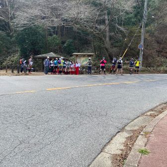人が集まってる！エイドだ！巫女さんだああ！！！