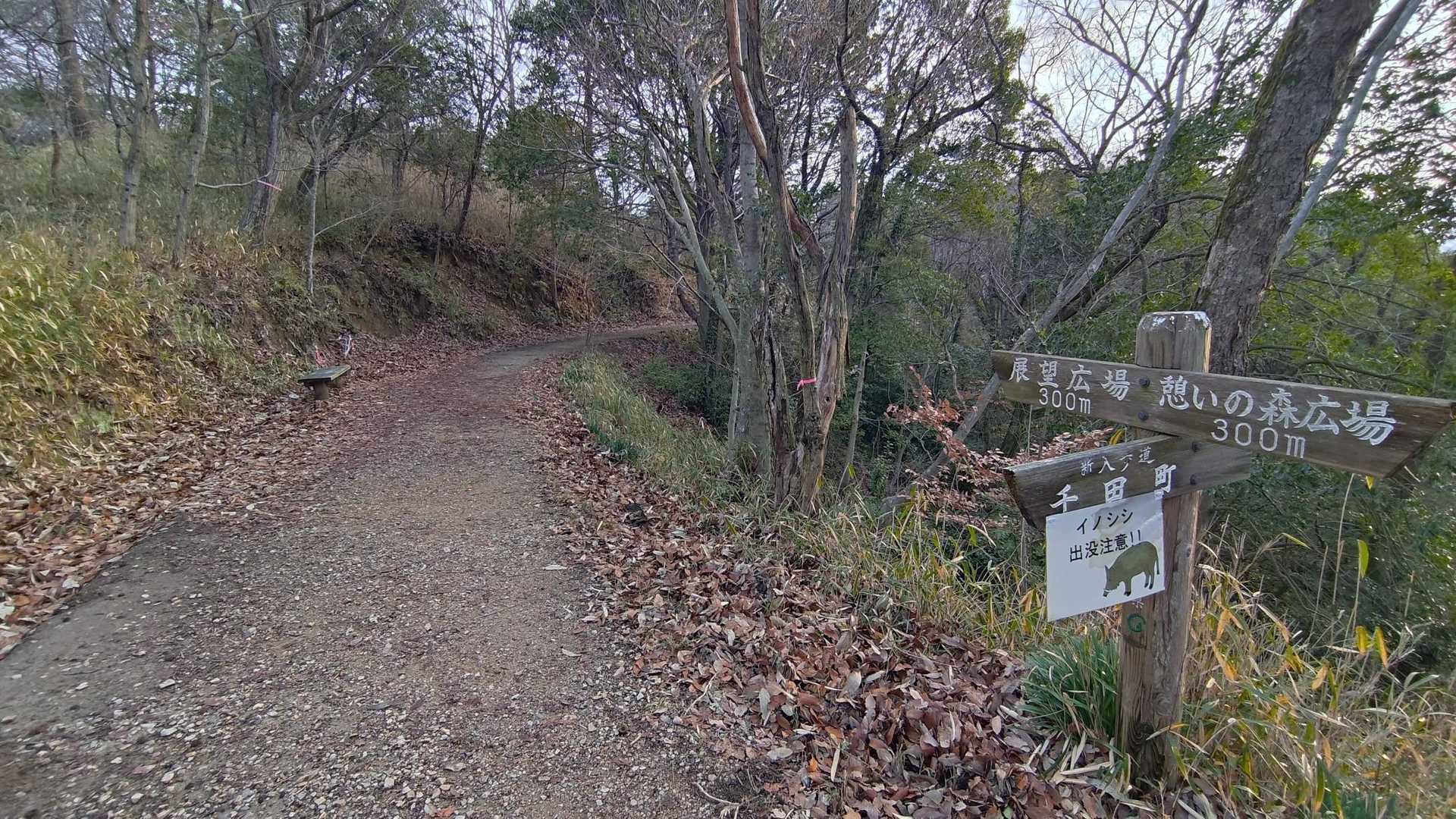 この辺から、イノシシ注意の看板が複数出てきます。