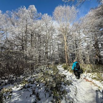 ずっとこんな景色の中の山行ならさぞ楽しかったのでしょうが、、まあこんな日もありますね。
次の楽しみにします。