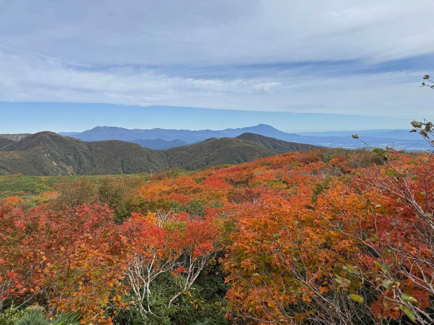 高畑登山口-高下岳-高下岳-根菅岳 往復コースの写真