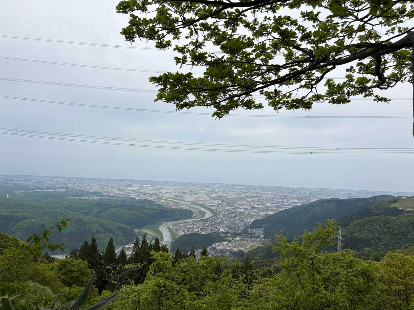 奥獅子吼山 往復コースの写真