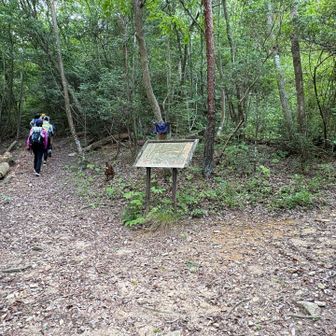 ココの分岐を右へ行くと、
水晶山経由でダイヤモンドポイントへ抜ける道
今日は大池地獄谷での沢歩きのため左へ進む⬅️