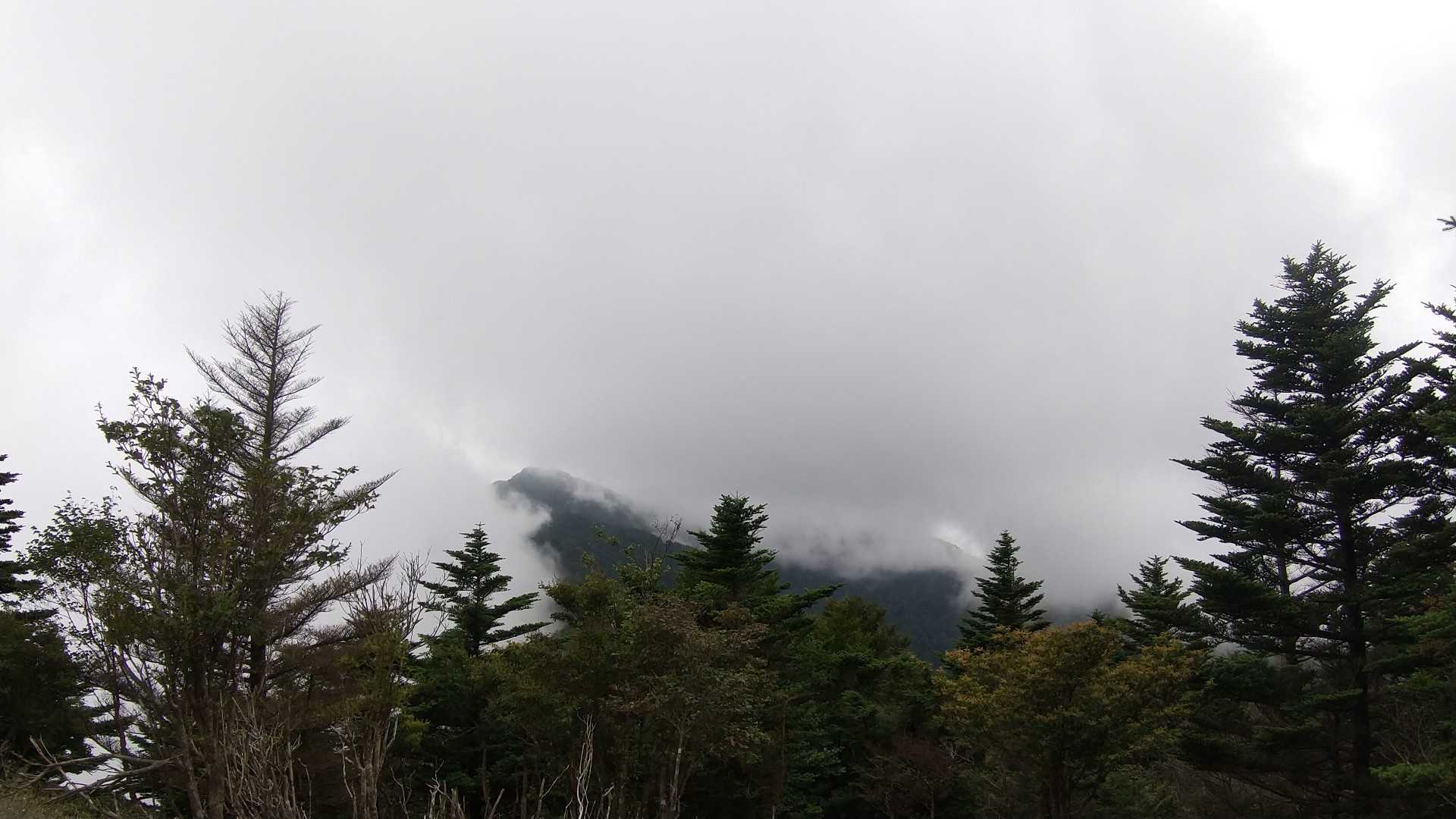 矢筈山がチラリ