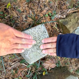 三角点たっち❤️