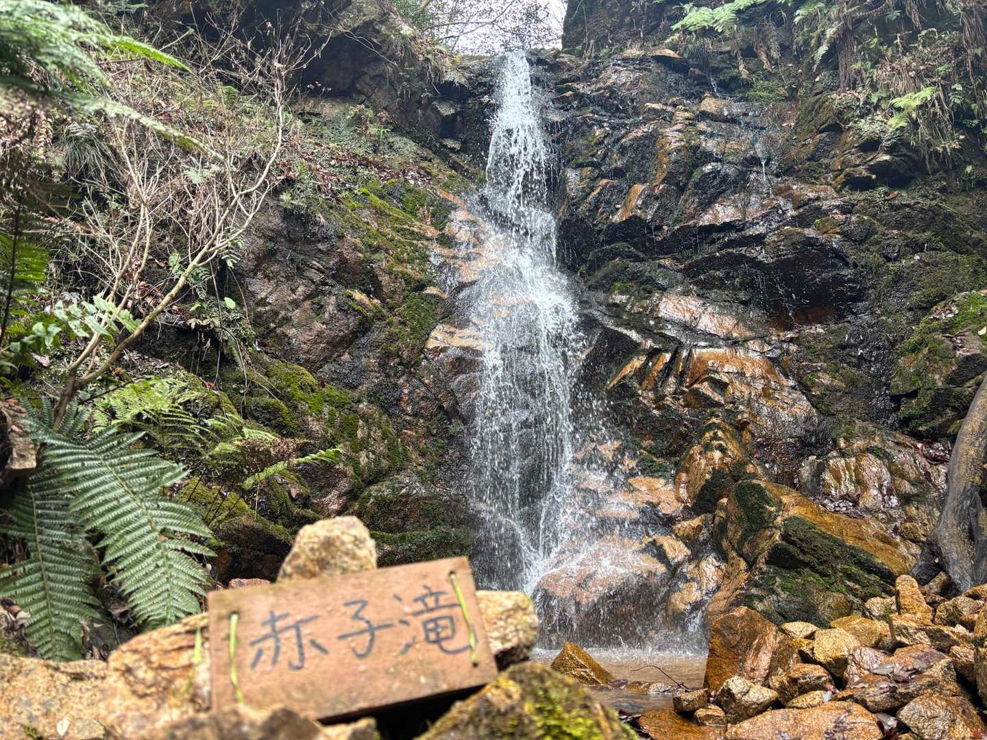赤子滝
ここでヘルメット⛑️