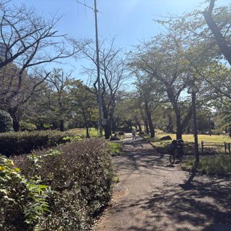 飛鳥山公園
