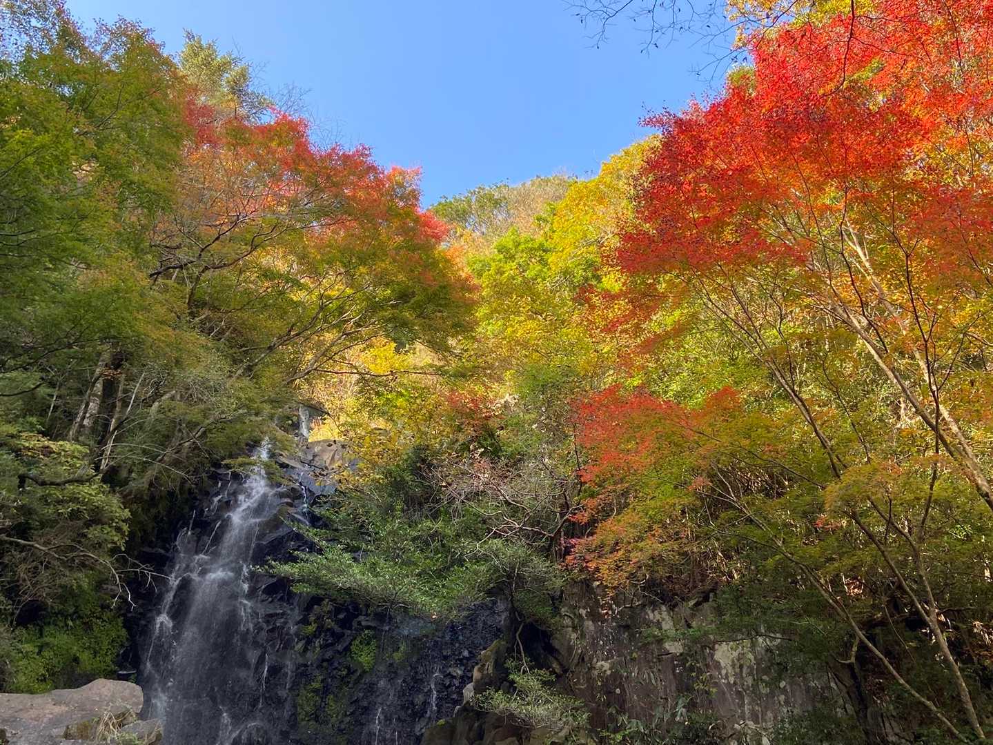 青空と紅葉と滝！　贅沢な景色。
この絶景をひとり貸切だぞ〜