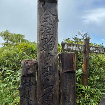 山頂からは眺望なし