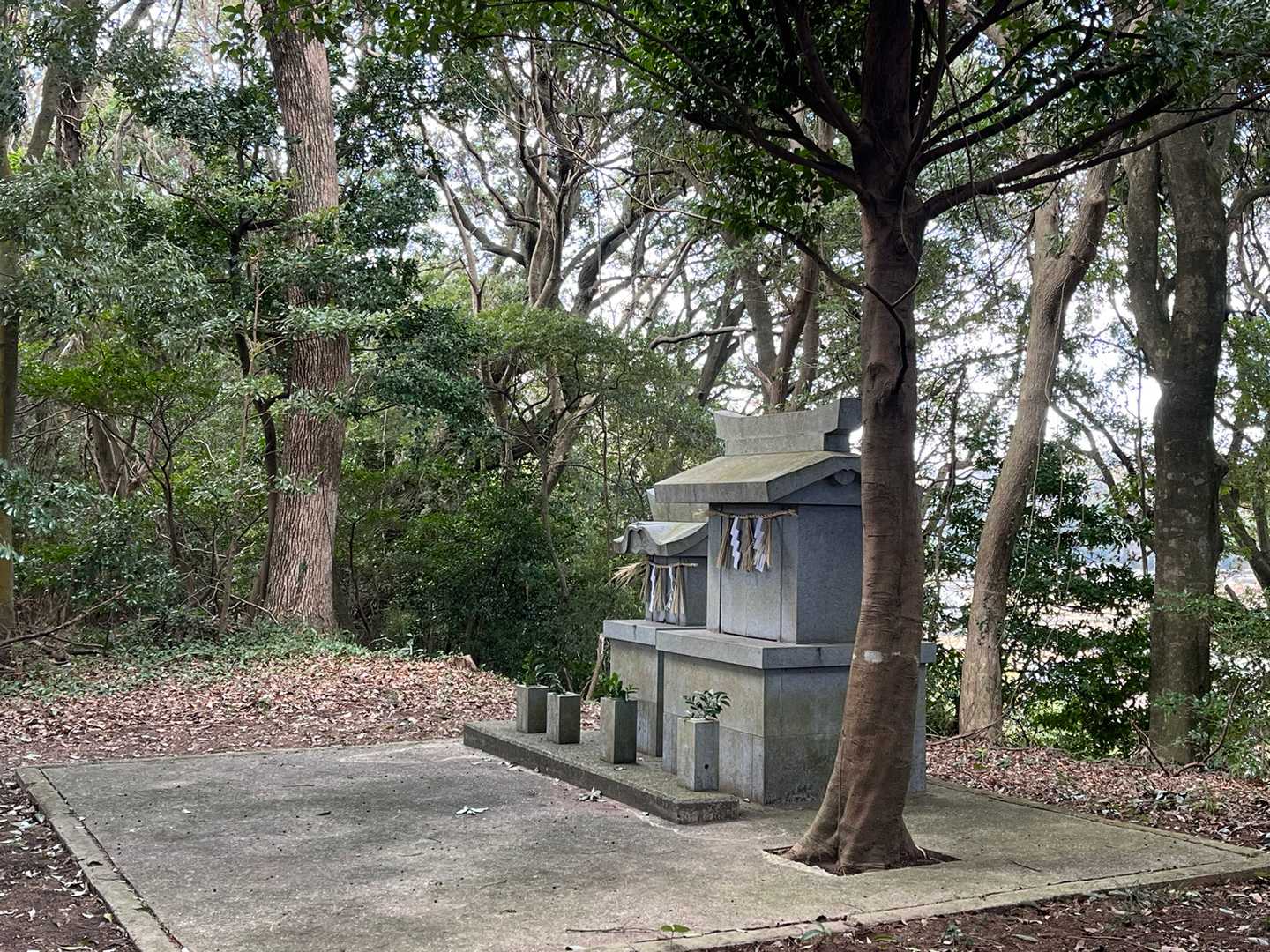 この辺が山頂かな？