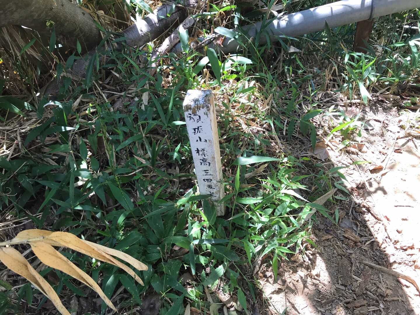 旗振山の写真