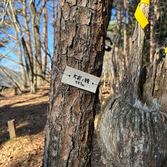 大岩ノ頭⛰️登頂しました🙌