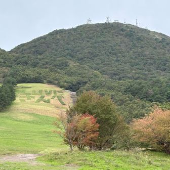 LOVEさんべ
三瓶山、良い山です🎵
登りたい😅