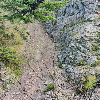 ガイド4人パーティが続きます
アンザイレンしています。気を付けて!
(昨日は10名石室小屋泊しています)
三パーテイ、ほぼ同じ時間に出発