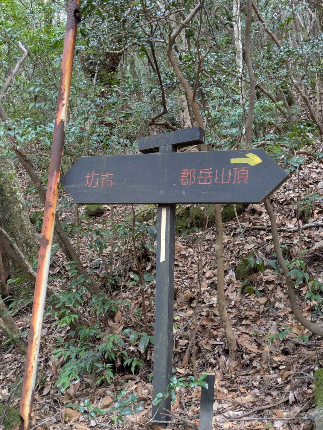 黒の標識初めて見ました✨️