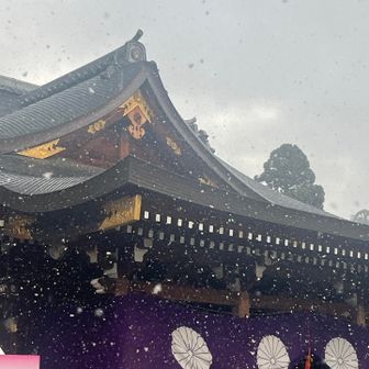 雪が舞ってます❄️