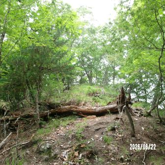 根羽城跡　手前