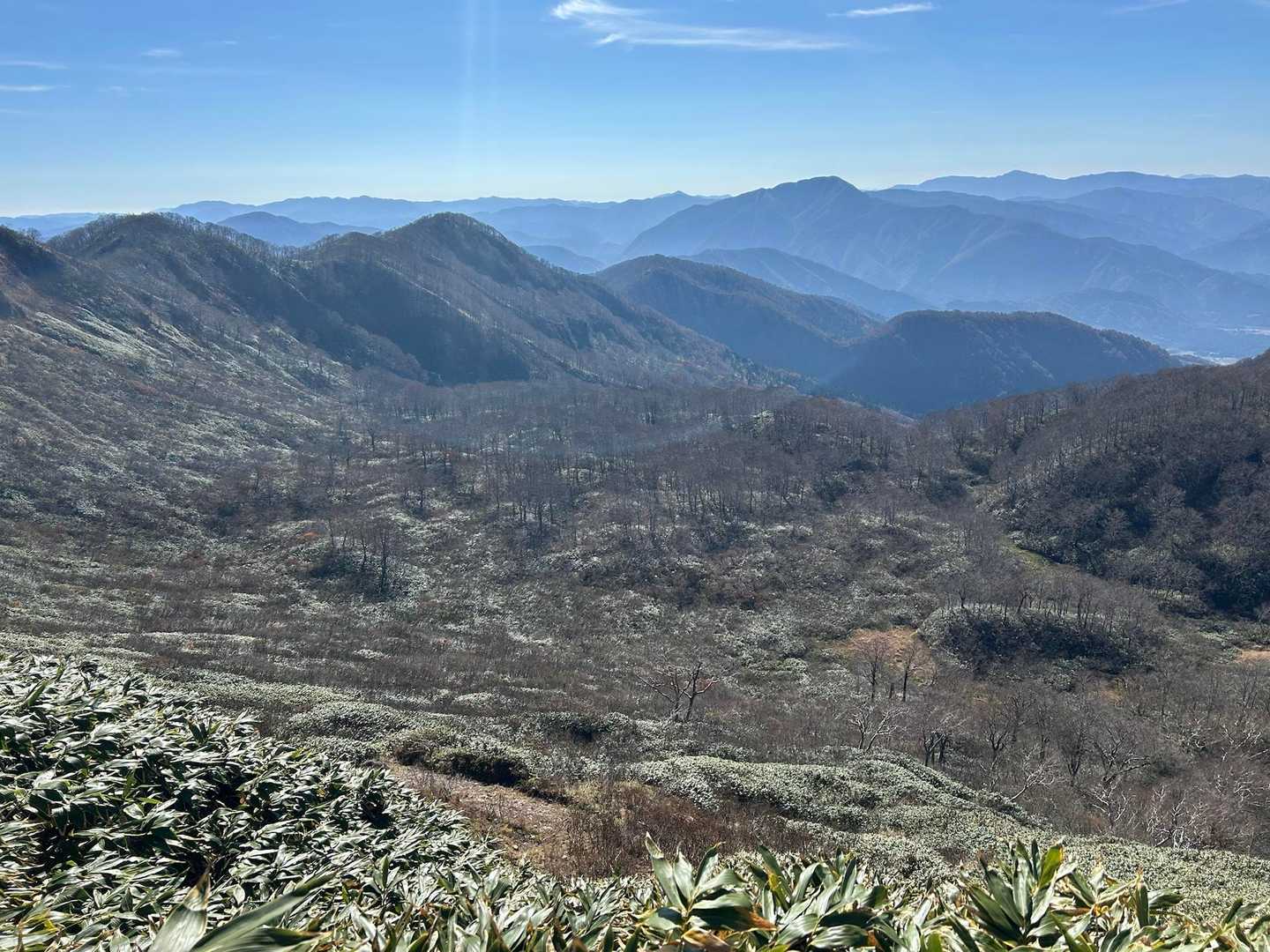 医王山の大池平を思い出す
地滑りか山体崩壊で谷が埋まったのかな〜
なんてブラタモリ的に考えながら…
この辺り、池の大沢と言ってかつての噴火口跡
と言う事は…カルデラ？カッコいい！