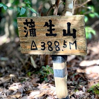 “蒲生山”（がもうやま）  山頂到着  388.5m
こちらは開けた眺望はありませんが…その先に下り 🪨“後不動”の絶景スポットに向かいます😊