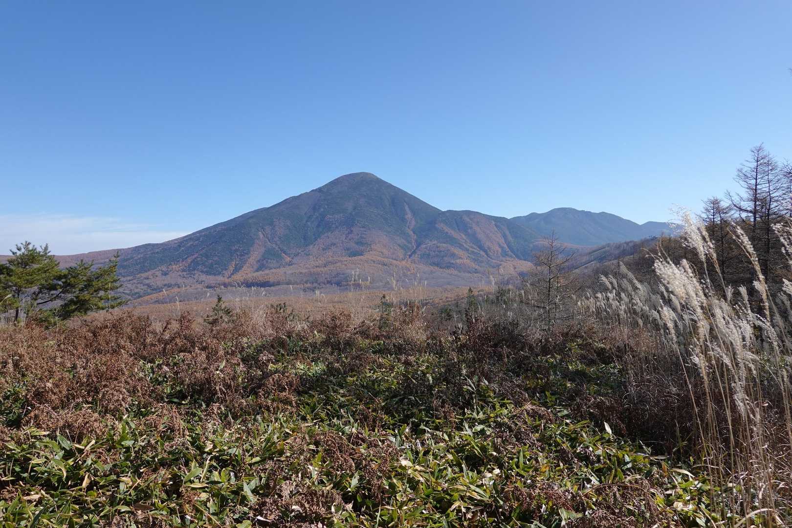 蓼科山が正面に見えます