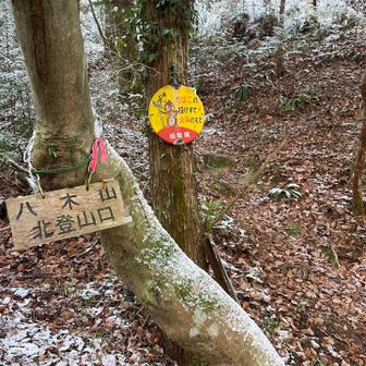 八木山北登山口