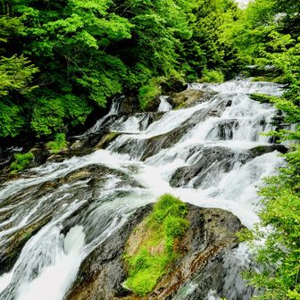 竜頭ノ滝の上流の滝