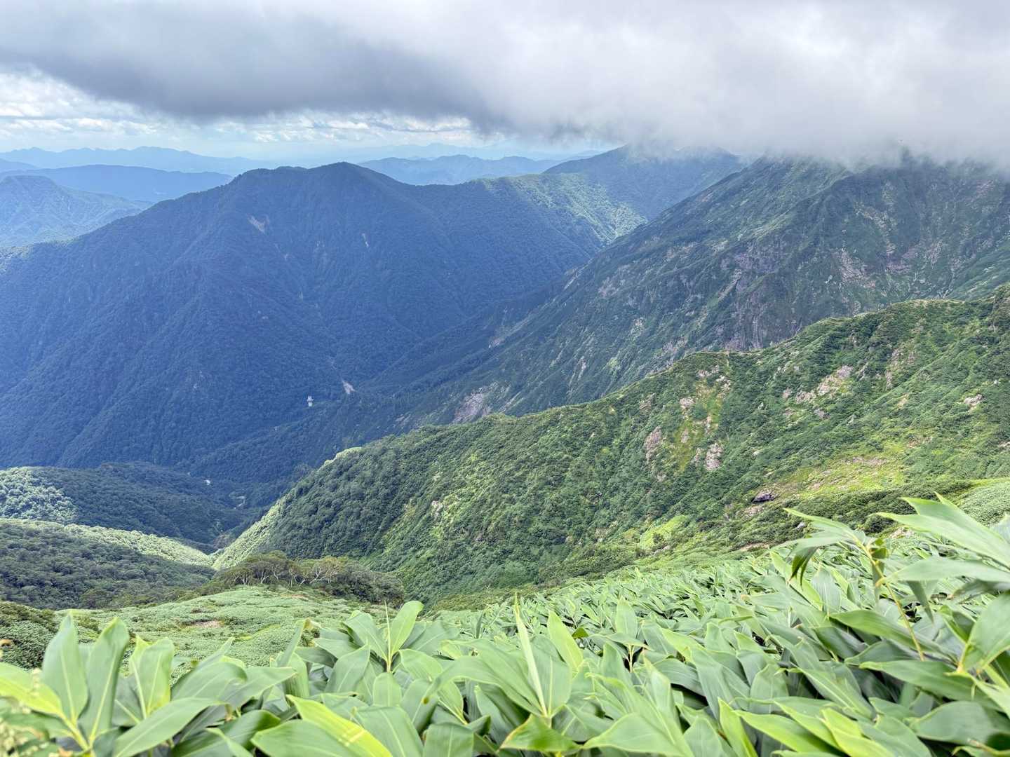 天神尾根コースの写真