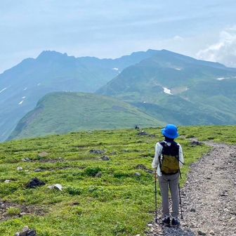 ありんこのりすけ