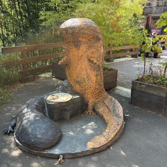 サンショウウオ
