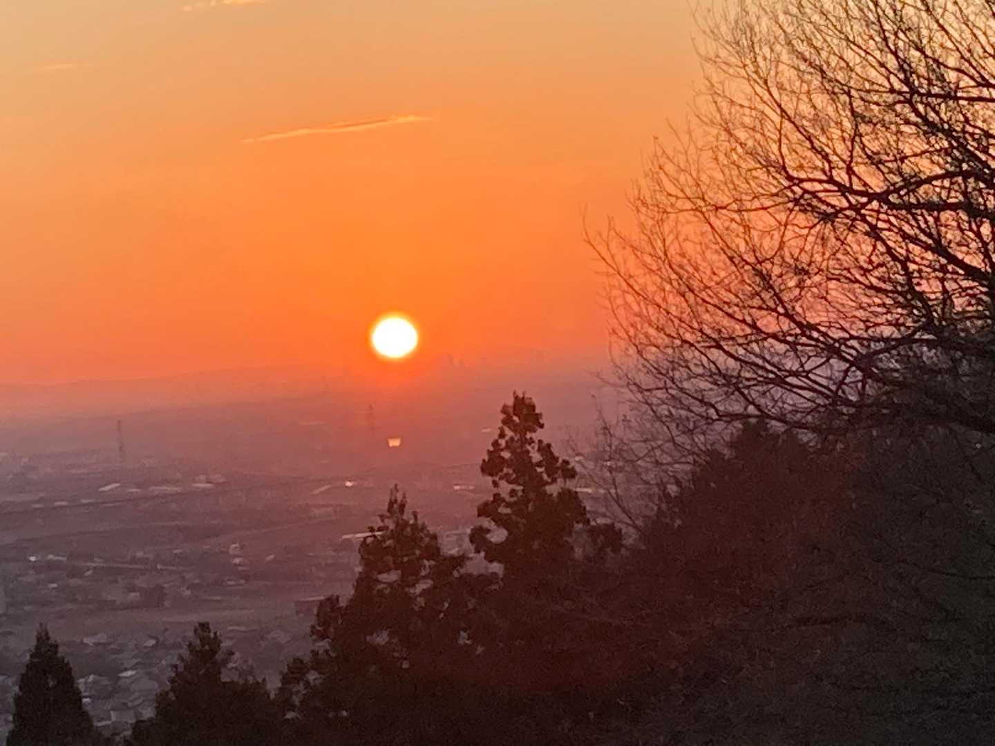 象鼻山 往復コースの写真