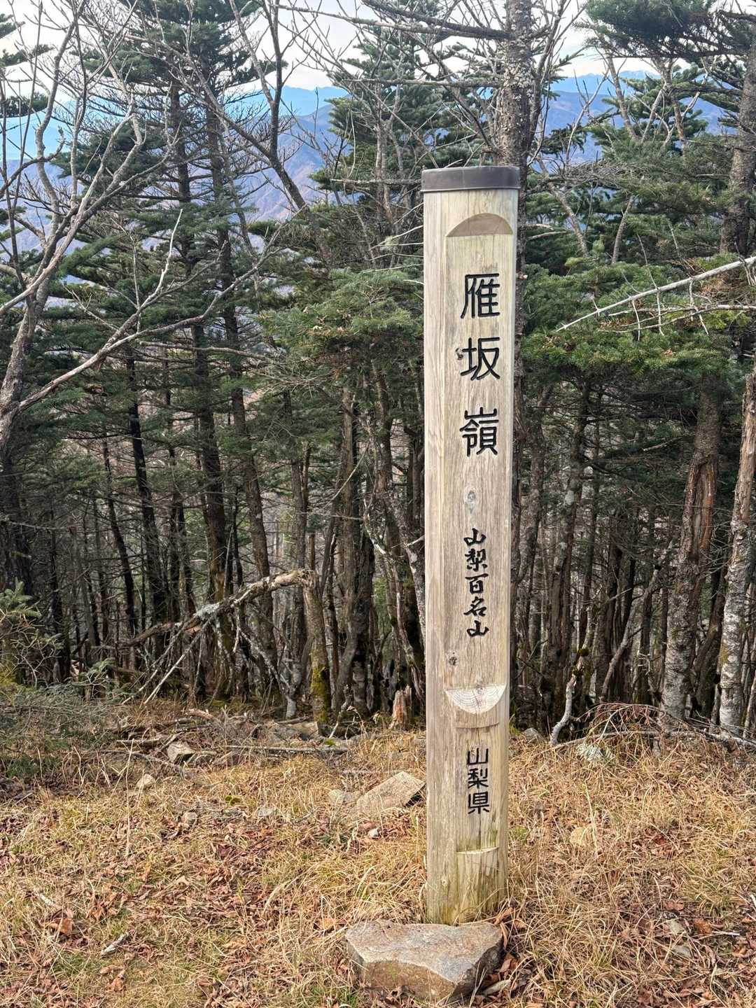 雁坂峠-雁坂嶺 往復コースの写真