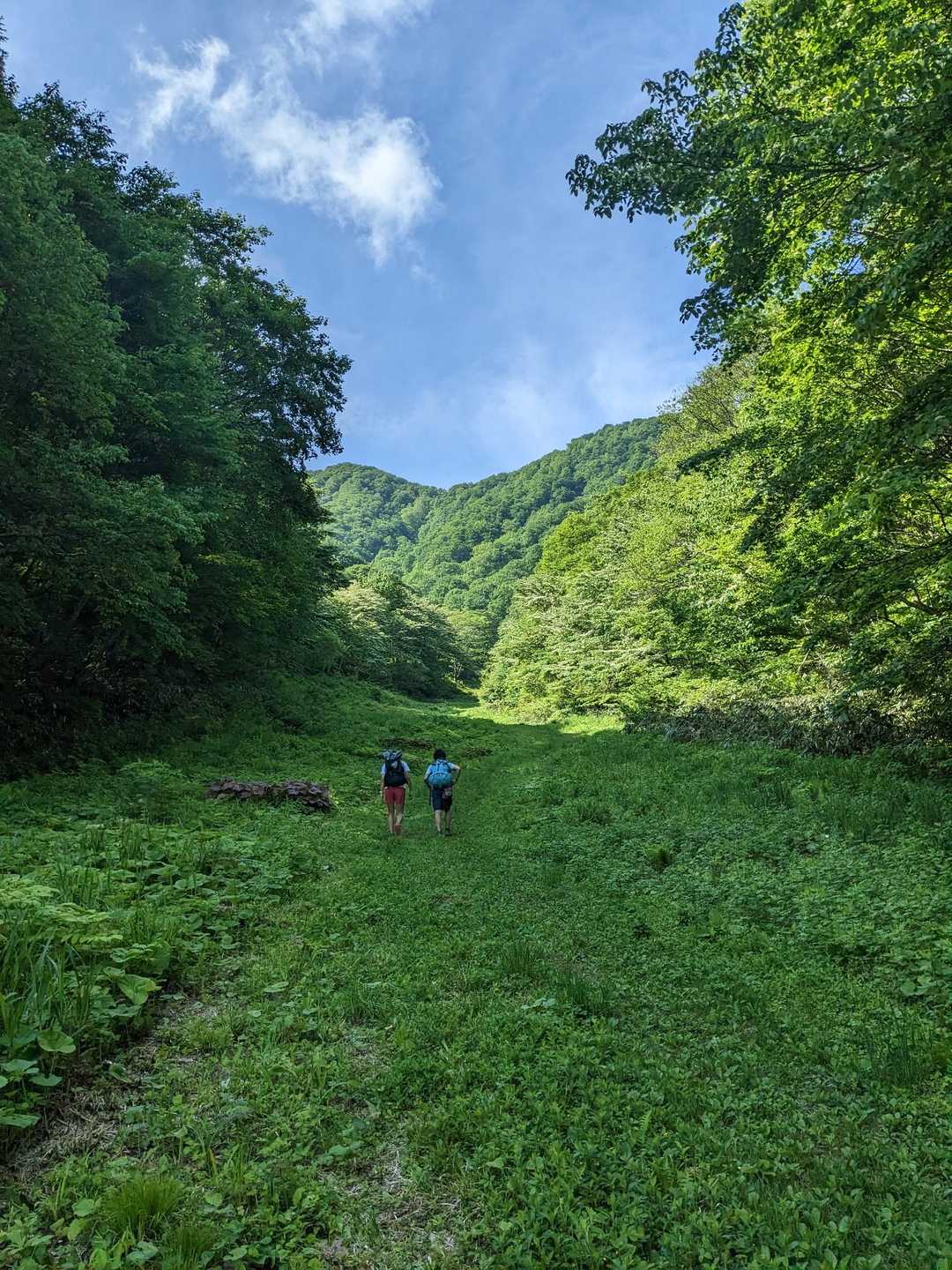 先行者あり
なんだか、ただ者でない印象のお二人