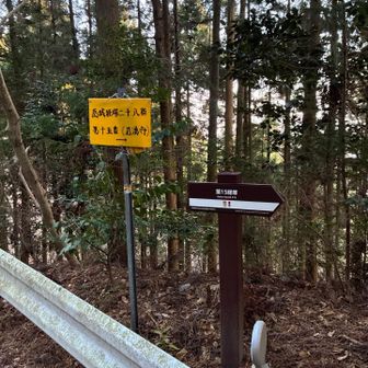 岩湧山駐車場に停めれば良いと思ってたけど
岩湧寺駐車場🅿️なら、もっと近い
林道脇のこれが目印