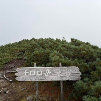 山頂
真っ白です