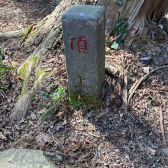 頂上の道標。
六合目を見逃した。