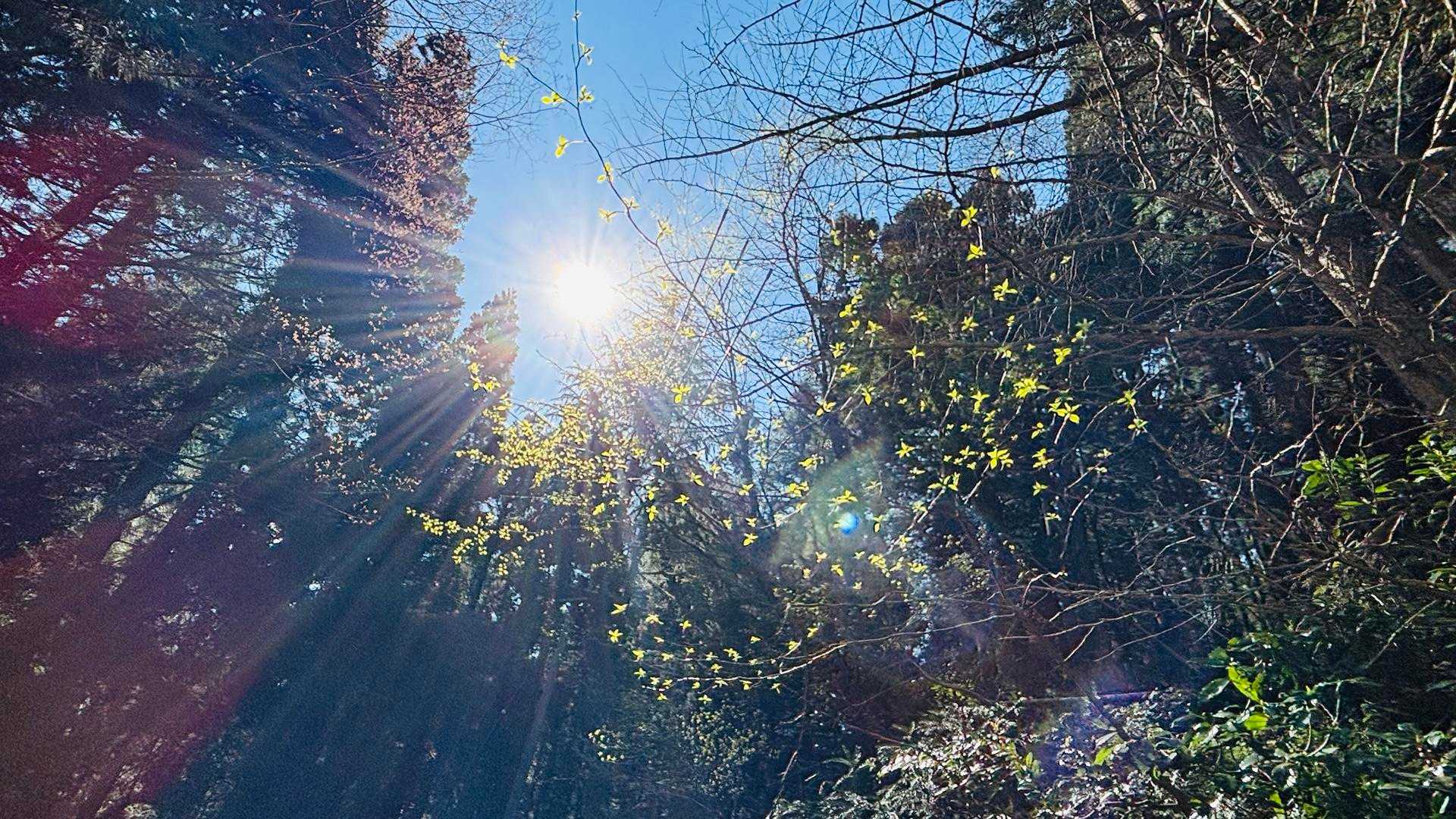 ☀️嬉しい