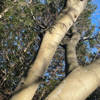 👁️👁️👁️😱