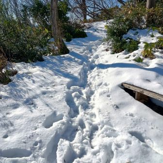 山頂は雪けっこうあります