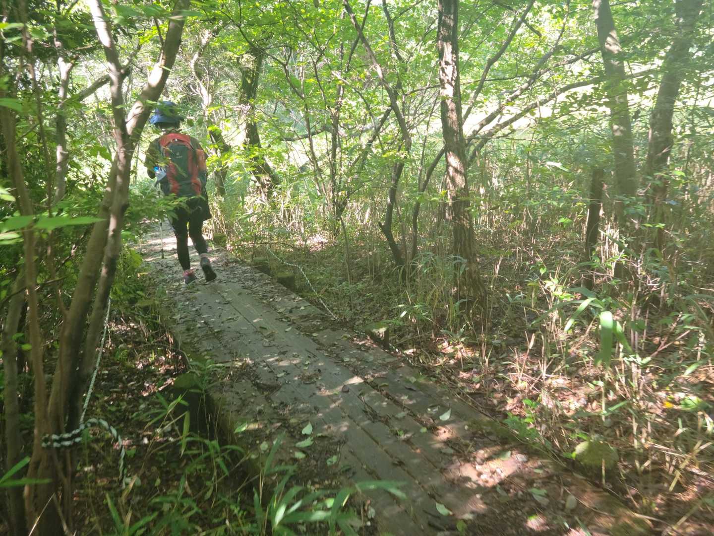 木陰に入ると
涼しい🍃