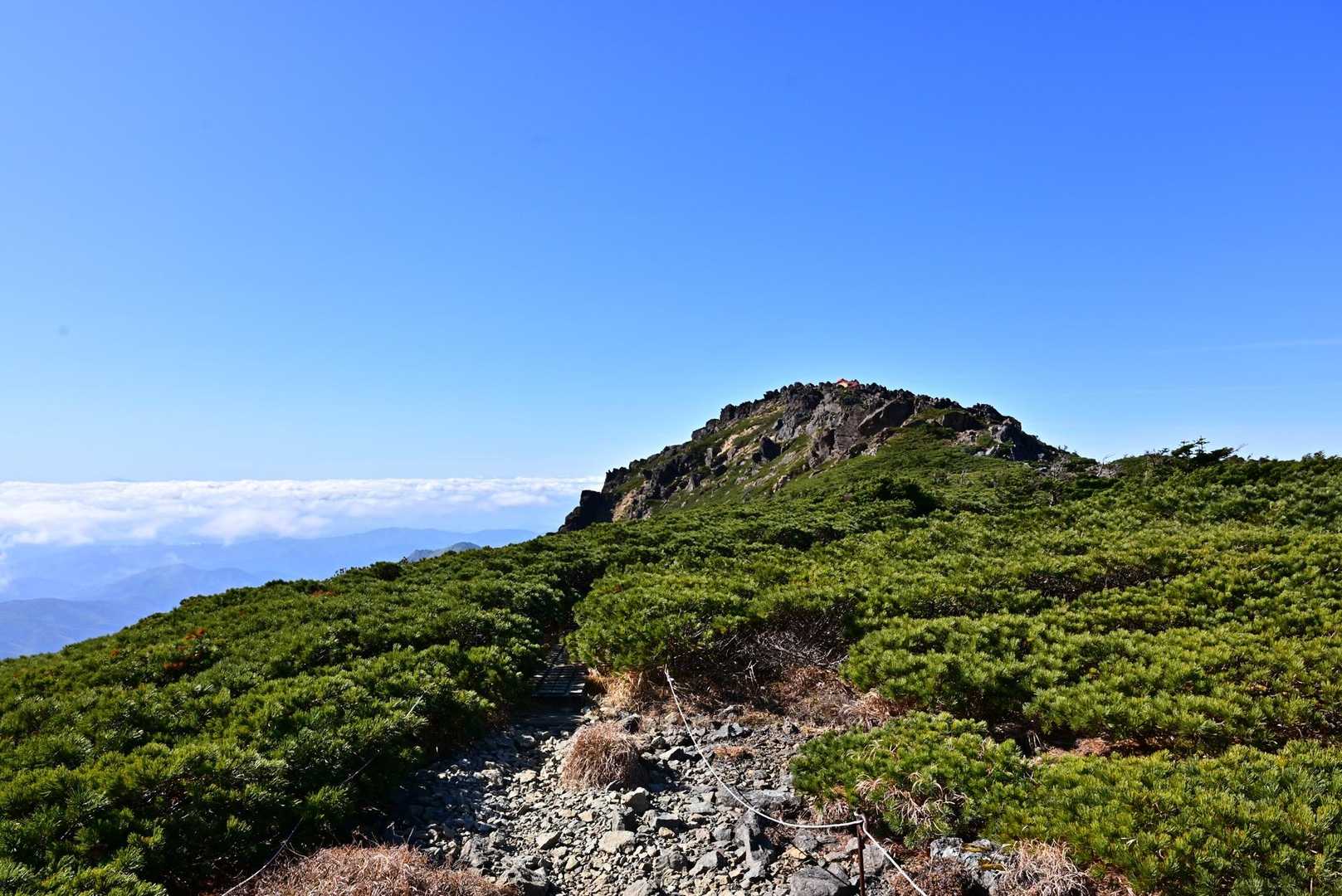 小田越コース | 荒々しい斜面に広がる天空のお花畑、五感を揺さぶるパノラマ美の写真