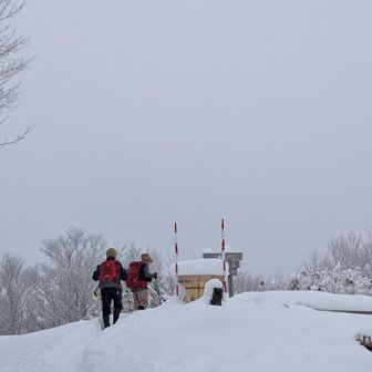 岩手山がド～ント
見えませんでした