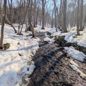 札幌駅から地下鉄で円山公園駅へ
接続のロープウェイ行きJRバスが1時間に1本😭
駅から30分歩いて藻岩山登山口へ到着