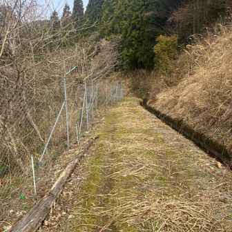 未舗装路になり、、、