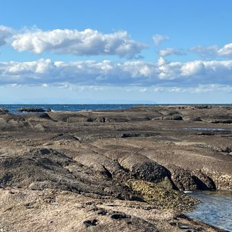 引潮時は広い磯です